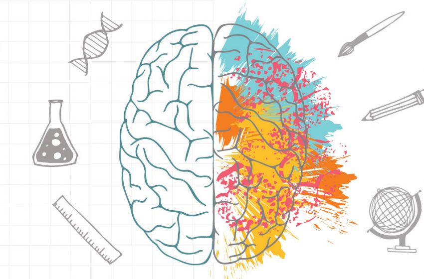  Cum funcționează creierul uman? – Lara Boyd