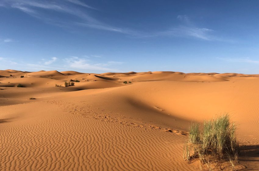  Curiozitati despre Desertul Sahara